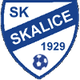 SK斯卡利采logo